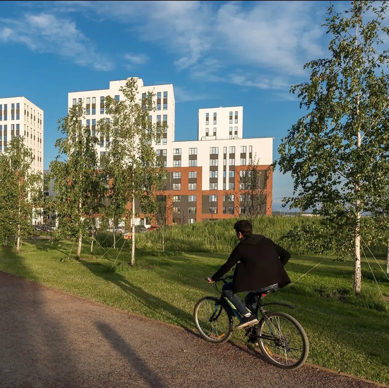 Territory masterplan for a residential microdistrict